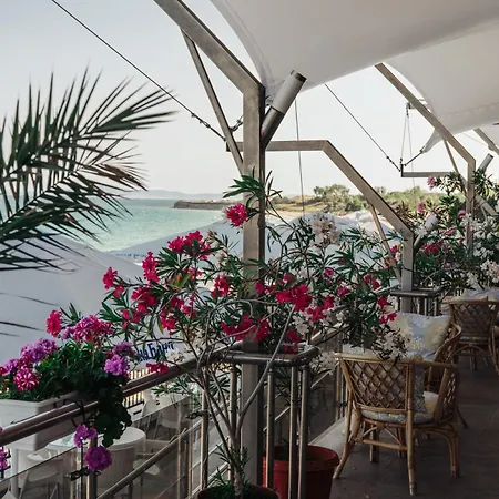 Daire Mirage Collective